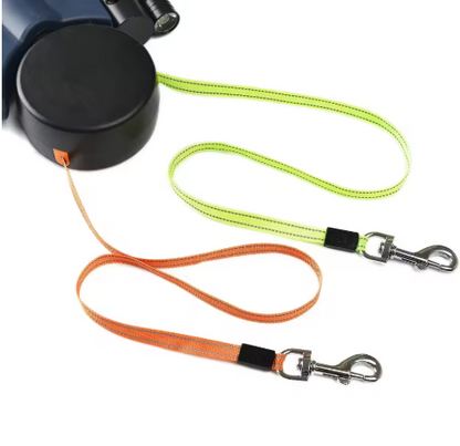 Auto double dog leash