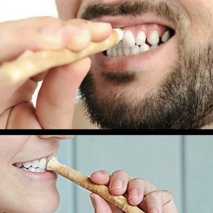 Miswak tooth cleaning system